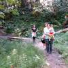 This is the bridge and boardwalk over the wet area made from the old cedar to the right.