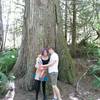 This is the largest tree around for miles.  The western red cedar has a bee hive way up high in the tree.  Definitely a photo op!