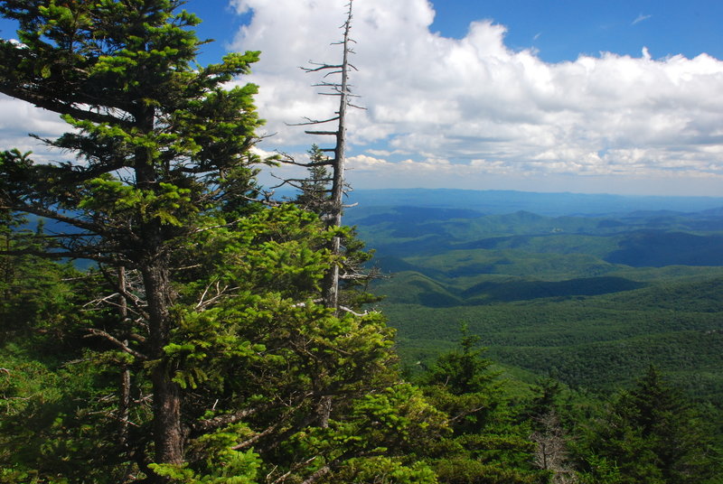 Looking out near McRae Peak.