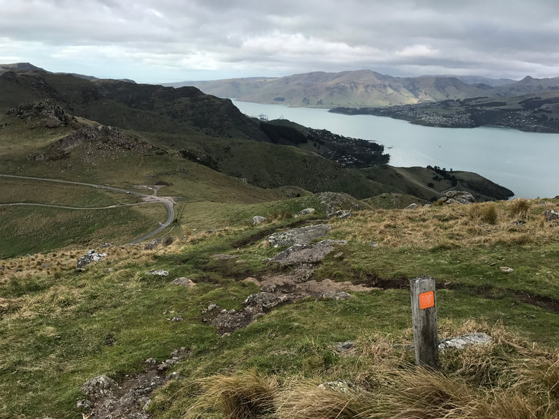 Looking towards Rapaki Saddle and Lyttelton from Summit of Mt. Vernon. Crater Rim Walkway