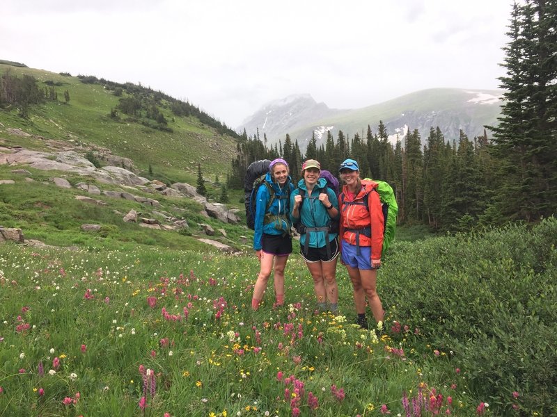 Beautiful fields of wildflowers and views of South Arapaho.