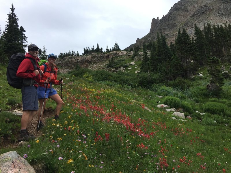 Wildflowers on the Devils Thumb Trail.