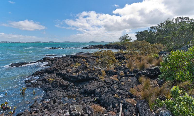 The Rangitoto Shore off the McKenzie Bay Road.