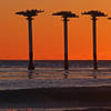 The four brown pelican roosts off of the coast from the Ellwood Beach Trail.