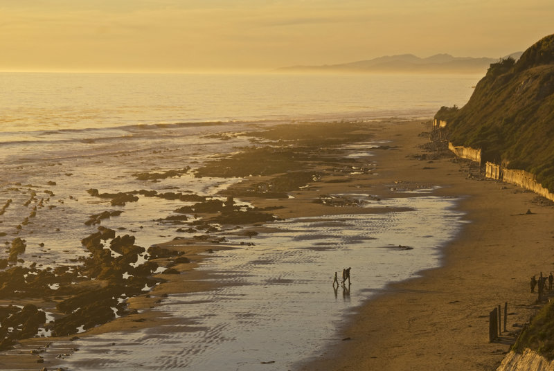 View of the Ellwood Beach Trail as it runs up the coast.