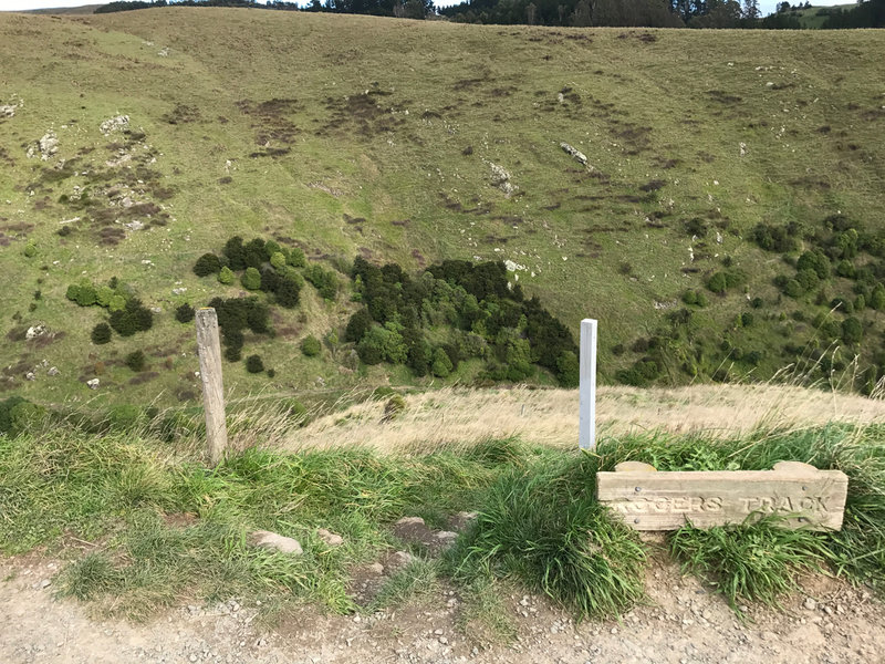 Beginning of the Rogers Track from the Rapaki Track