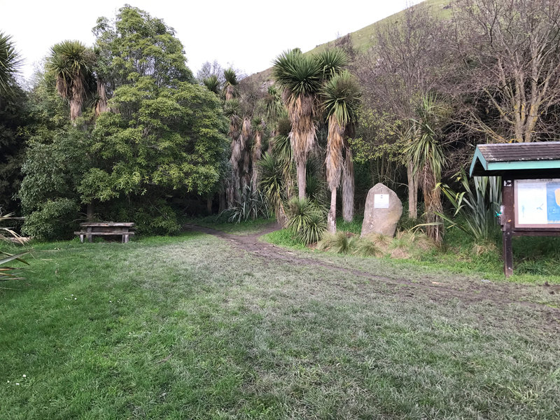 Beginning of Mt. Vernon Valley Track from carpark. The track to the right is used to access the Marette Taylor track.