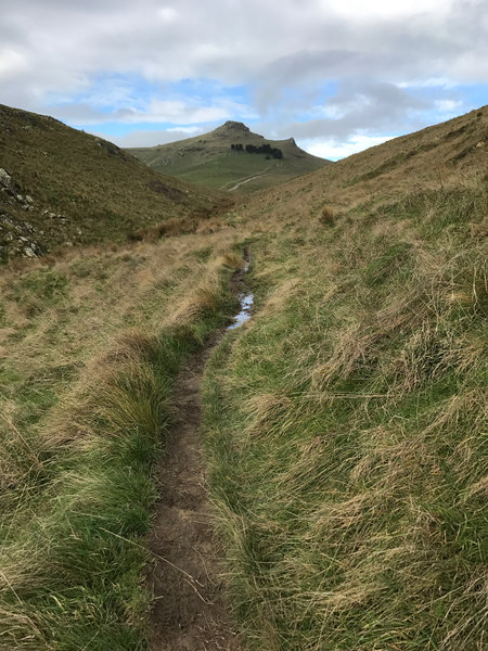 The Upper Mt Vernon Valley track looking toward Witch Hill. The Rapaki Track is visible in the far distance.