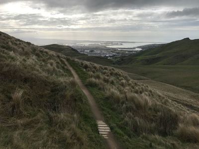 Mt Vernon Track with views down to Eastern Christchurch and Pagasus Bay