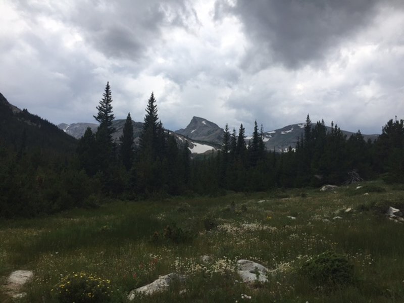 Sawtooth Mountain from along the Coney Lake Trail.