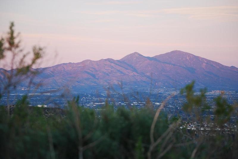 A Saddleback Dusk