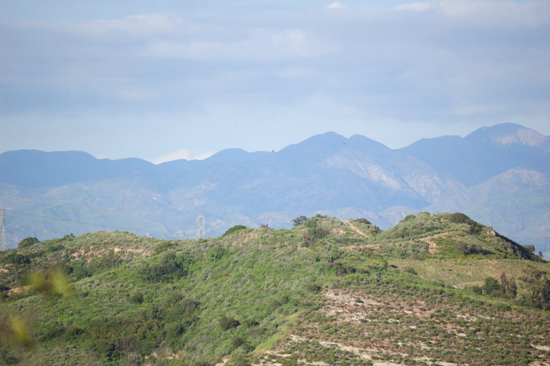 Laguna Coast Wilderness Park