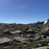 Elk on top of Flattop Mountain on way to Hallett Peak