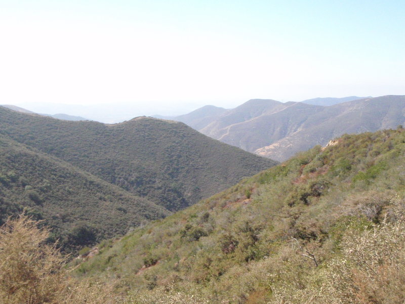 View from Maple Springs Rd