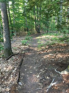 Flat and easy Lower Father and Son