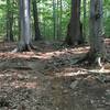 Look for the red marker with white arrows to stay on this trail (see tree left), not the red paint