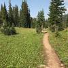 Trail between Emerald and Heather lakes.