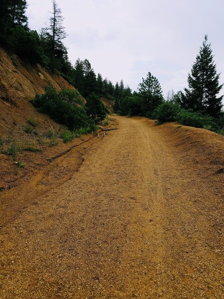 FSR 380 aka High Drive. Gravel roadway currently not open to motorized vehicles.