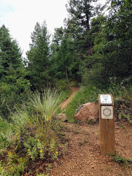 Spring Creek Trailhead. Connector trail.