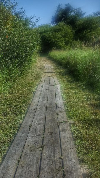 Boardwalk