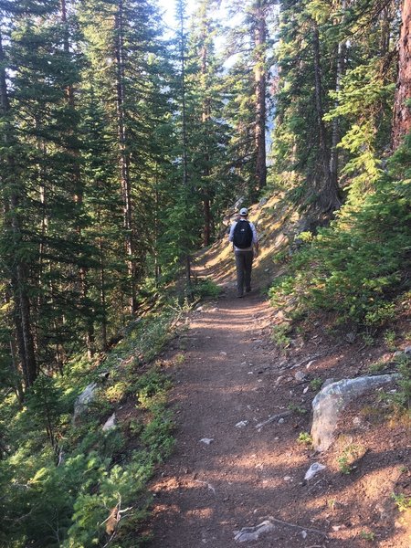 Easy strolling on the Fall Creek Trail