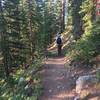 Easy strolling on the Fall Creek Trail