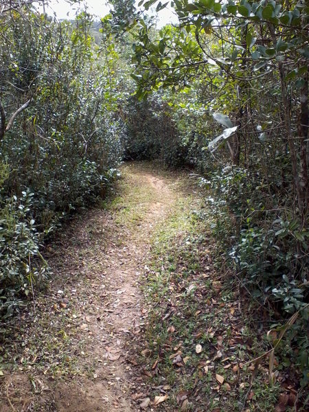 The Custodio Lake Trail