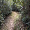 The Custodio Lake Trail