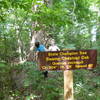 One of several state champion trees along the trails in Big Oak Tree State Park.