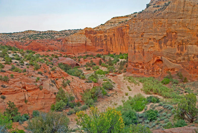 Middle section of Phipps Wash