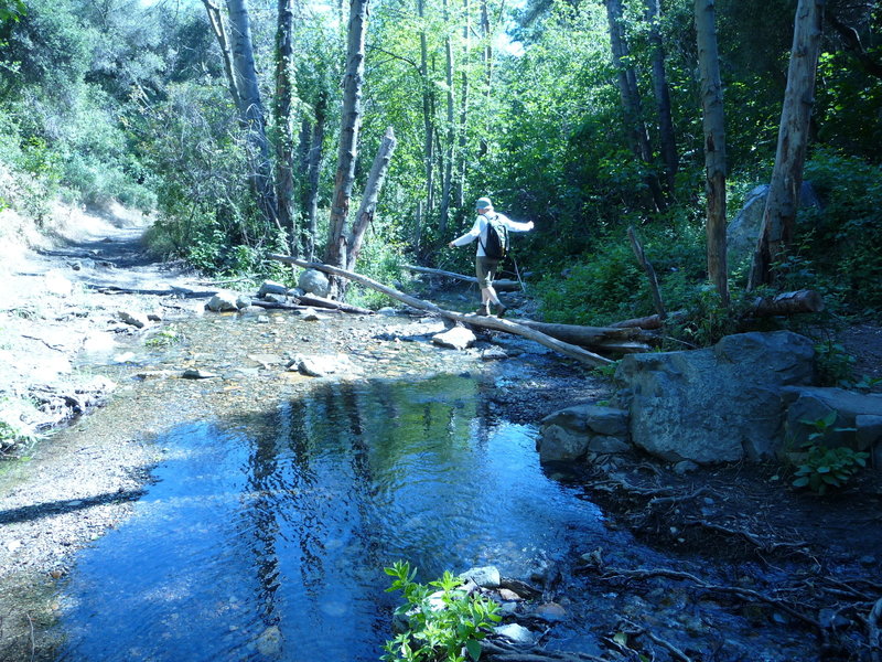 Linda crossing the creek