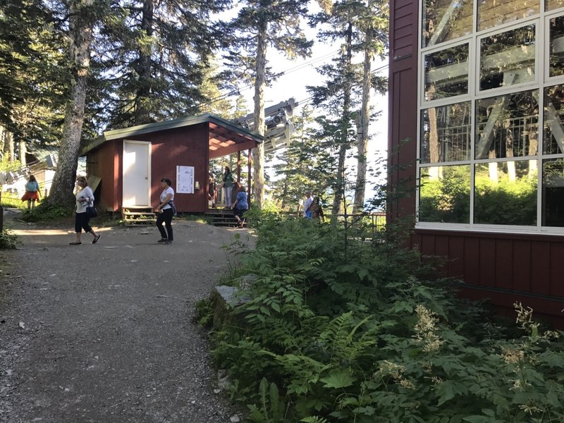 Raptor house on the left, restaurant on the right.