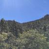 After heading though saguaros lower on the trail, it's nice to go through pine trees and shade.