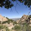 A transition zone with saguaro cacti below you and pine trees above you.