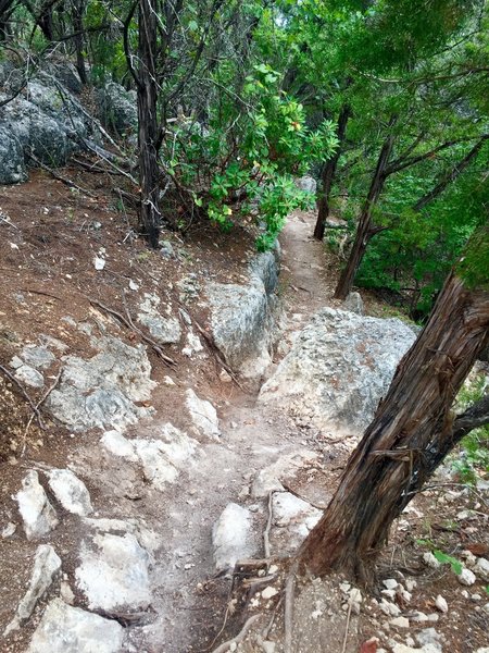 Canyon Trail - Lakeway Canyonlands - Follow the featured route to see this shot along the way.