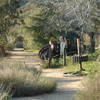 Mt. Lowe Railway Trail.