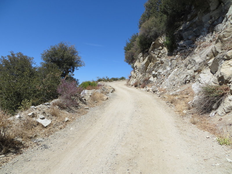 Mt. Wilson Trail