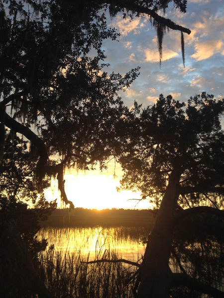 Sunrise over the marsh.