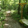 Old Mine Railbed Trailhead