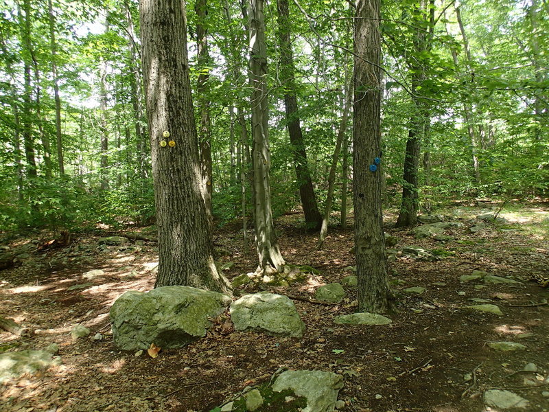 Trail junction with Three Lakes Trail