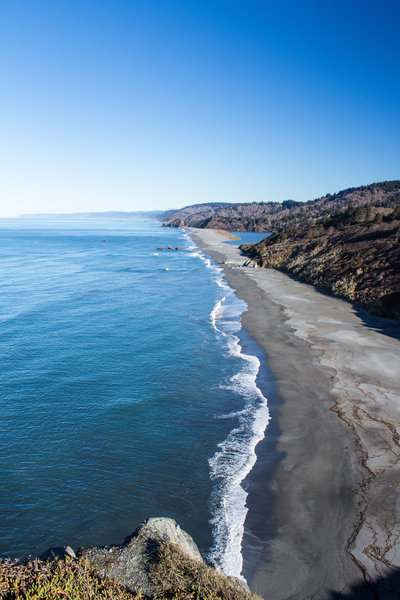 Beach north of Sharp Point