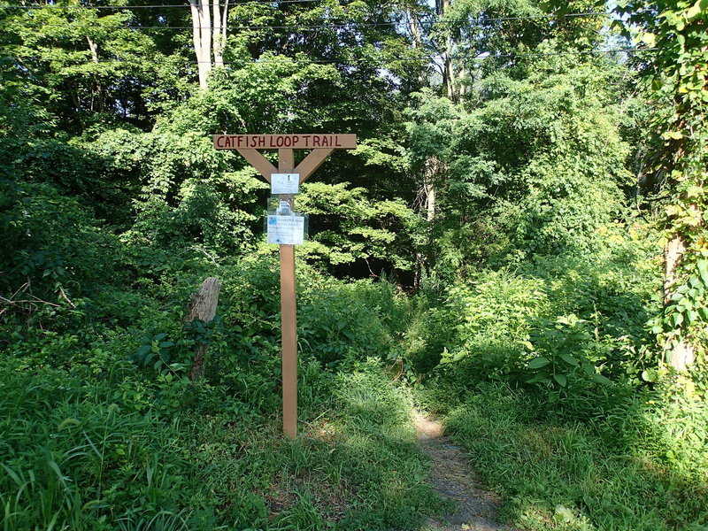 Trailhead across from parking area