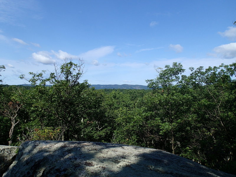 Only view point on the Catfish Loop Trail