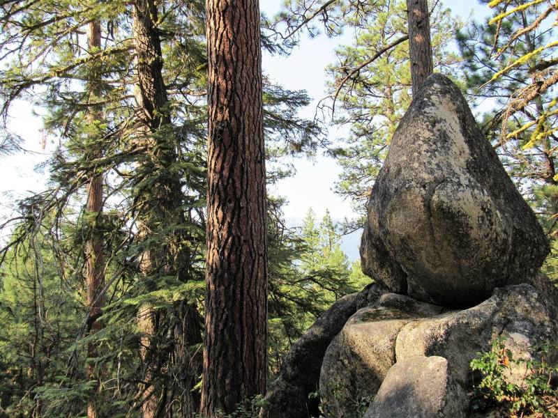 Granitic boulders on Rd 200. (Photo by Robert Nicholson)