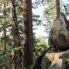 Granitic boulders on Rd 200. (Photo by Robert Nicholson)