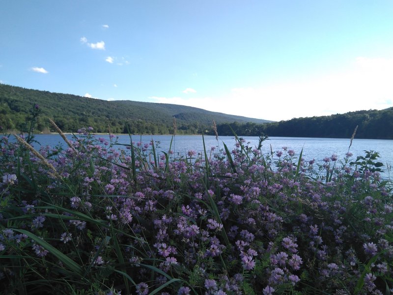 Dam overlook