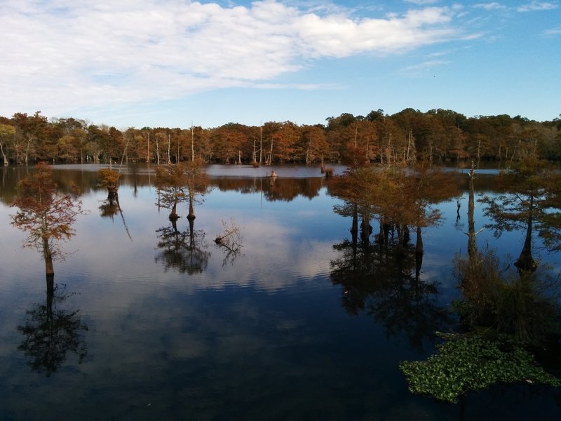 View of the lake