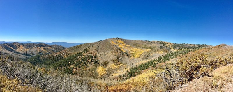 Amazing vista of fall colors near the apex of the climb along the highest ridgeline!