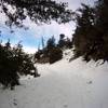 Snow covering Mt Baldy Road.