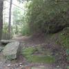 Entrance to trail near waterfall. This section of trail is rated difficult.